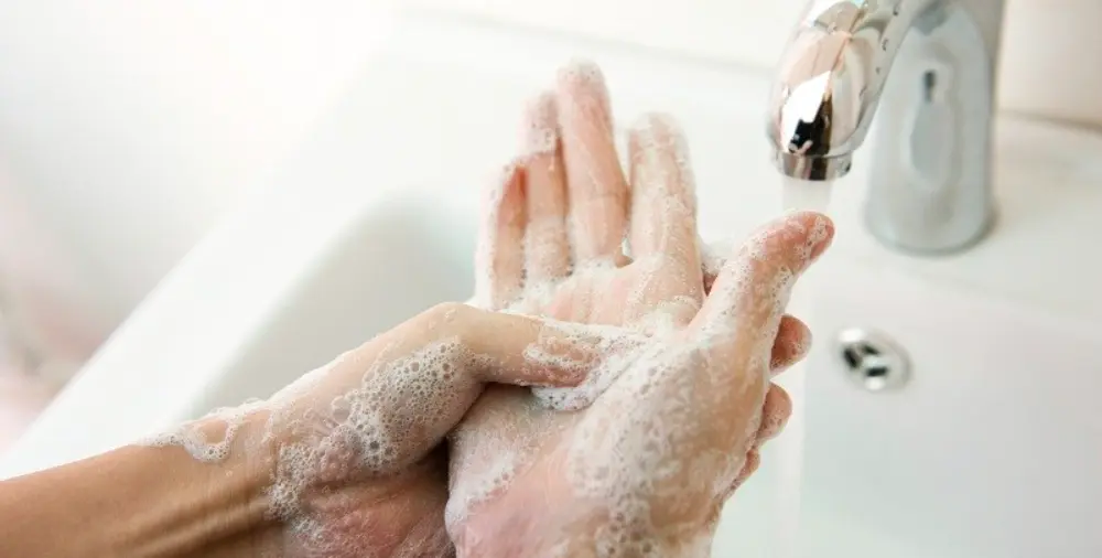 Promote Proper Handwashing Habits